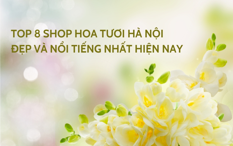 shop hoa tươi hà nội