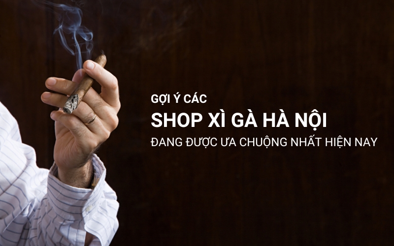 shop xì gà hà nội