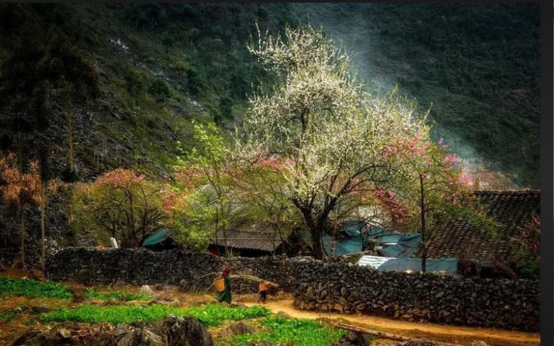 Thời tiết Hà Giang tháng 1